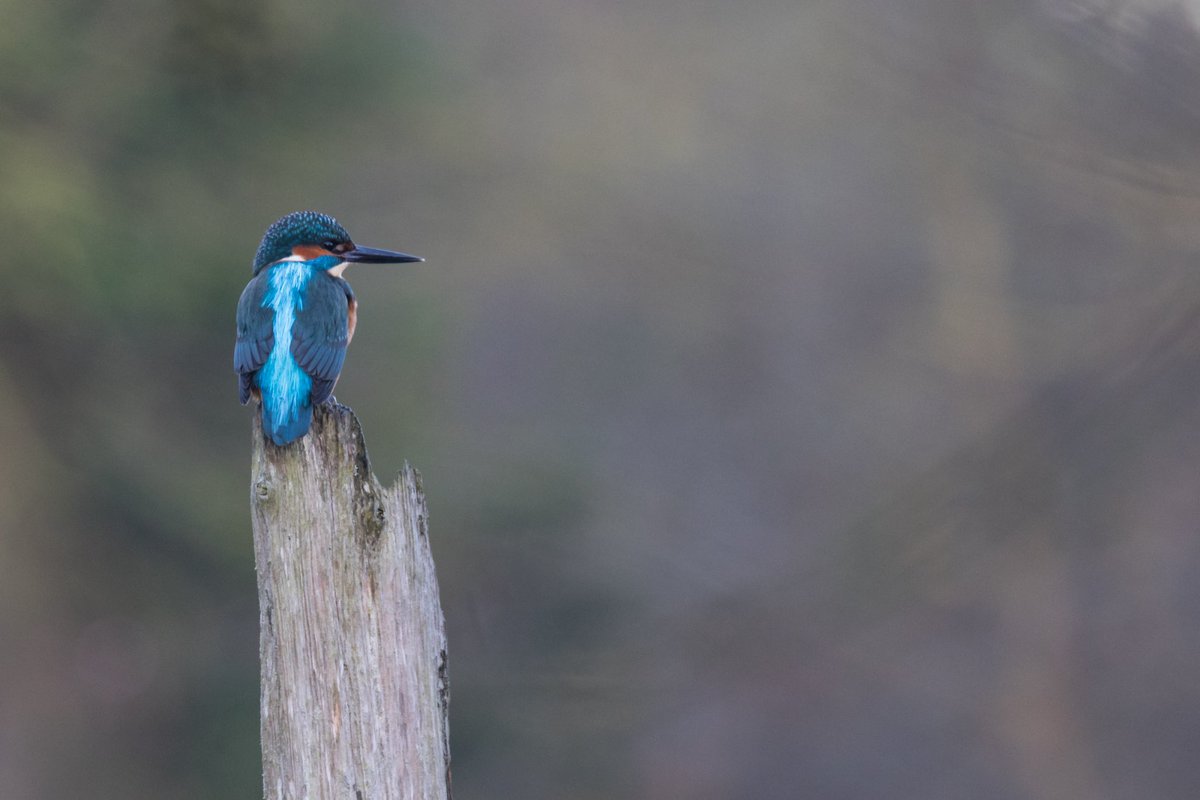 Does this picture bring you a little calm?