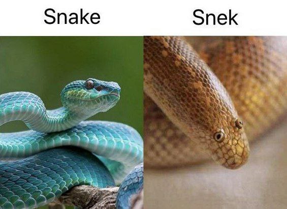 ERJAq8aWoAE1s86?format=jpg&name=small