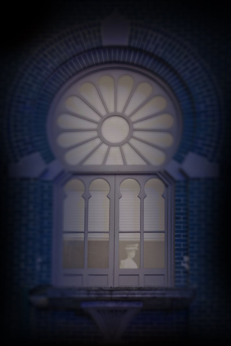HBPlantMuseum's tweet photo. @350Clare You might need to check back during Eerie Evening in October...who knows what you'll find?!?! https://t.co/zKSQ1q5Npd