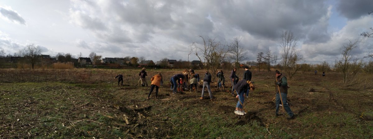 dirk_vanhoutte's tweet photo. Planten met leerlingen van Scheppers https://t.co/ed8SOvIR7D