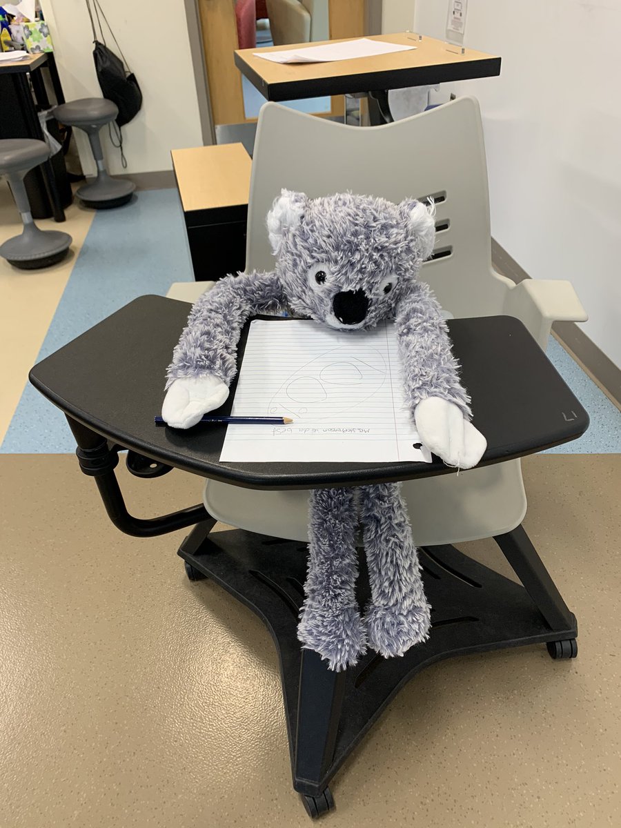 Perfect math student showed up today!  Got to love middle schoolers!