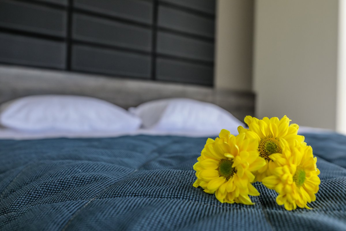 HotelBien's tweet photo. It is not necessarily to pay a lot of money for cozy room in the hotel. There is always opportunity to find a suitable option among the budget hotels in Yerevan. More important to provide high-level service for guests. Hotel «Bien» is one of this place and ready to welcome guests https://t.co/TZ736Q84Hi