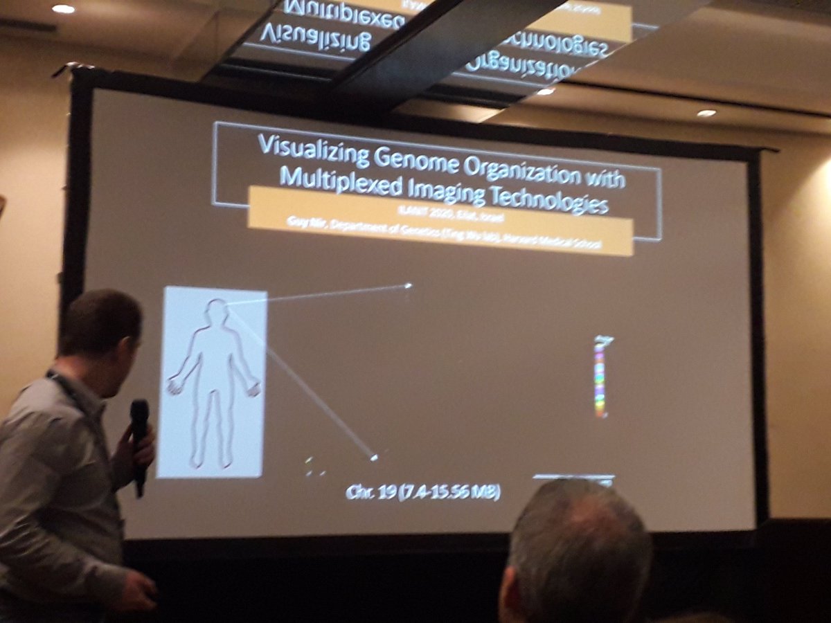 grnfluoresceblg's tweet photo. Guy Nir on imaging an 8megabase chromosome segment

#FISEB https://t.co/JWFOrGVack