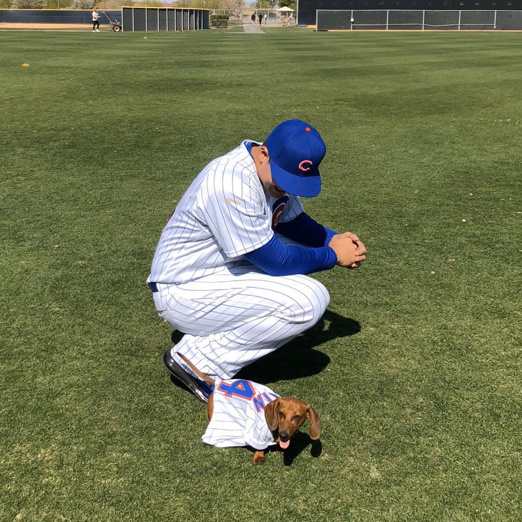 Baseball Bros on X: Anthony Rizzo has a wiener dog named Kevin