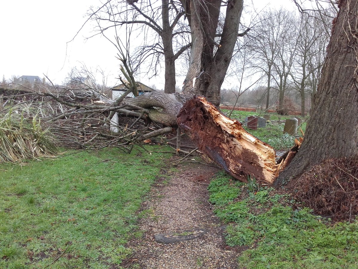 Chrishawes123's tweet photo. Storm damage at Henlow (St. Mary) Churchyard. Luckily the @cwgc Plot was untouched. However, there are a number of scattered headstones amongst the debris. All will be checked by the @cwgc staff, East Region after the tree is removed. Why not visit once it is safe to do so? https://t.co/ynRyW1Z9uj