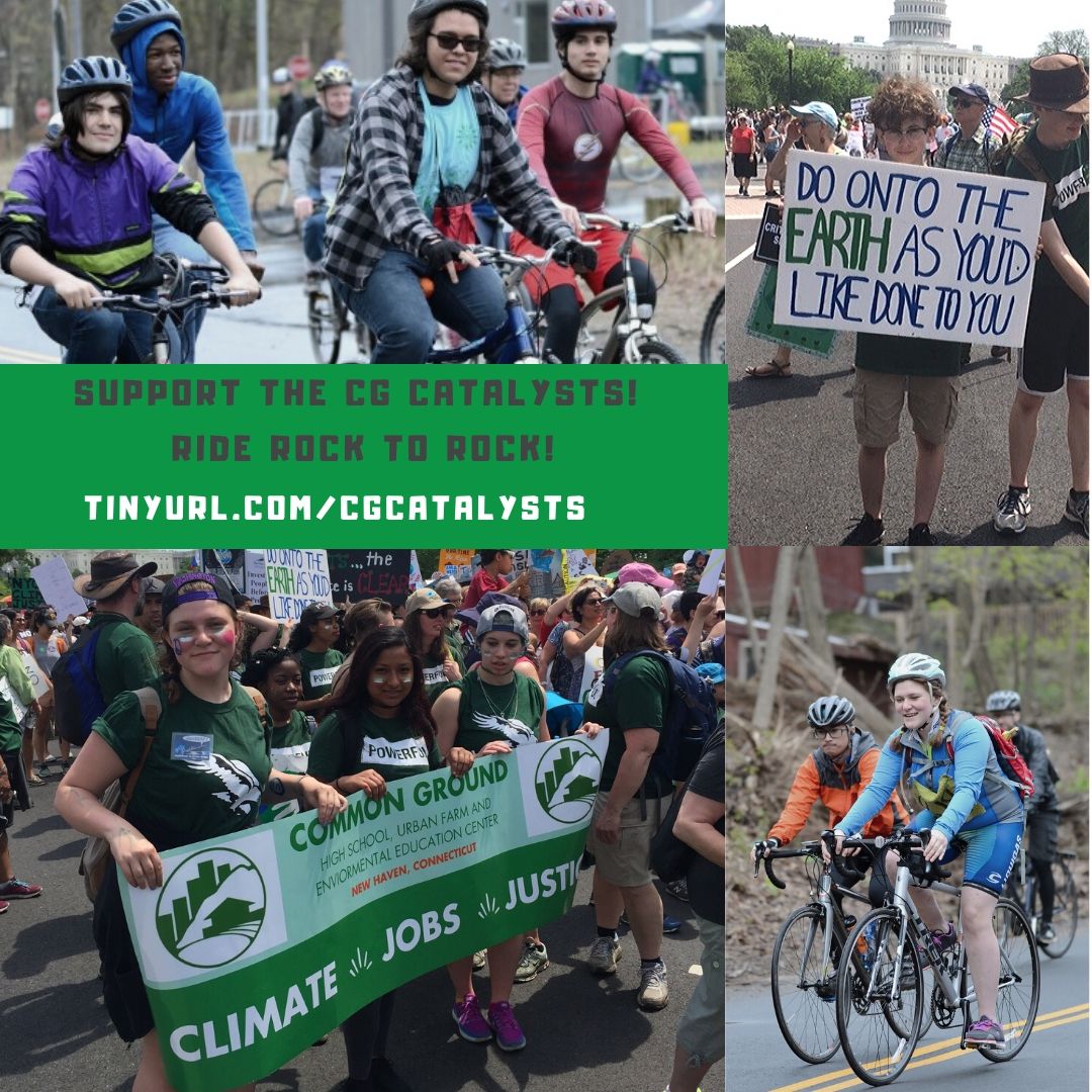 CommonGroundCT tweet media