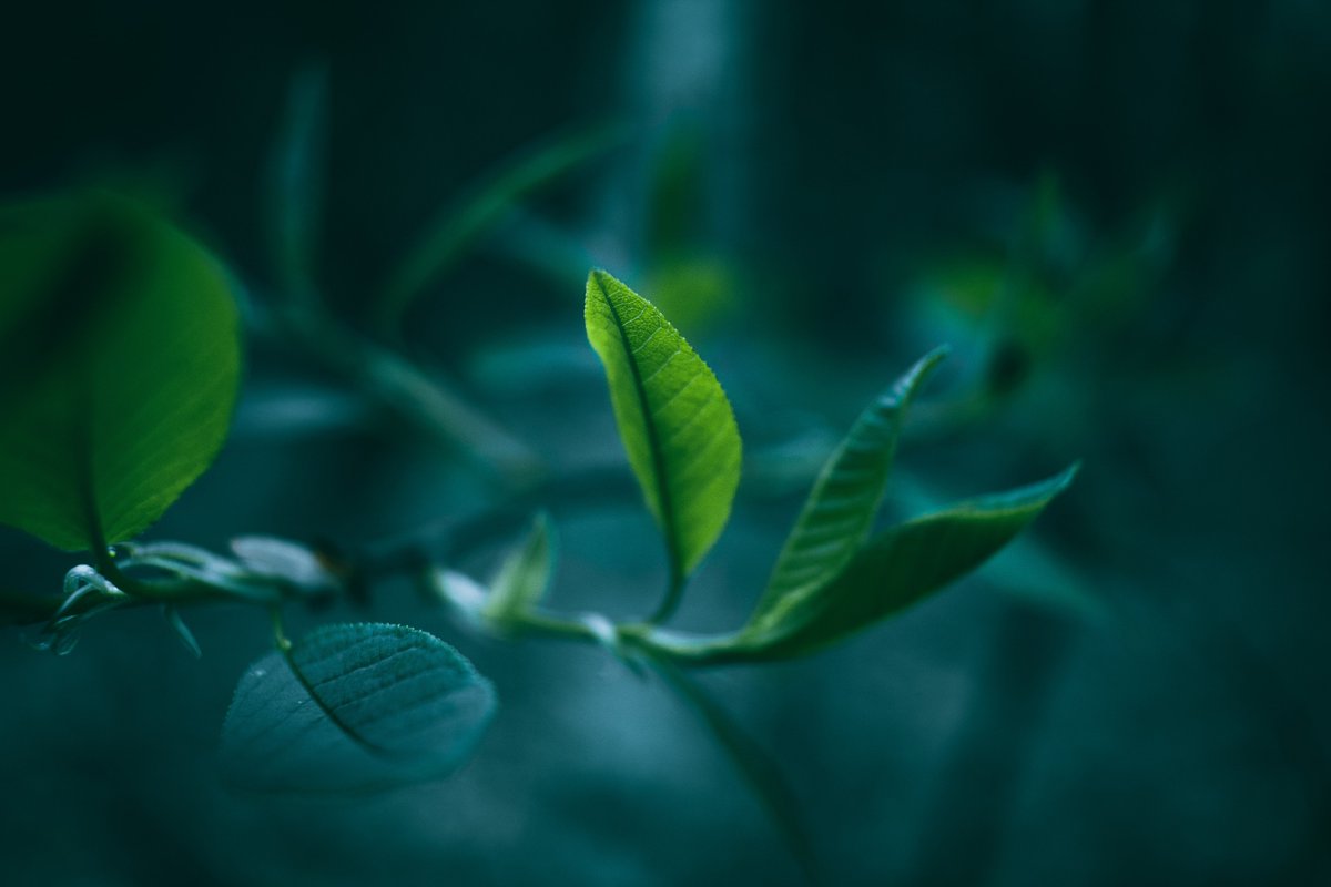 denideni's tweet photo. We're focusing our #WednesdayWisdom on the environment, reflection and progression with a new post in our journal ♻️ https://t.co/stc9cOR7KU #HappyHumpDay https://t.co/PncV4ujAkC