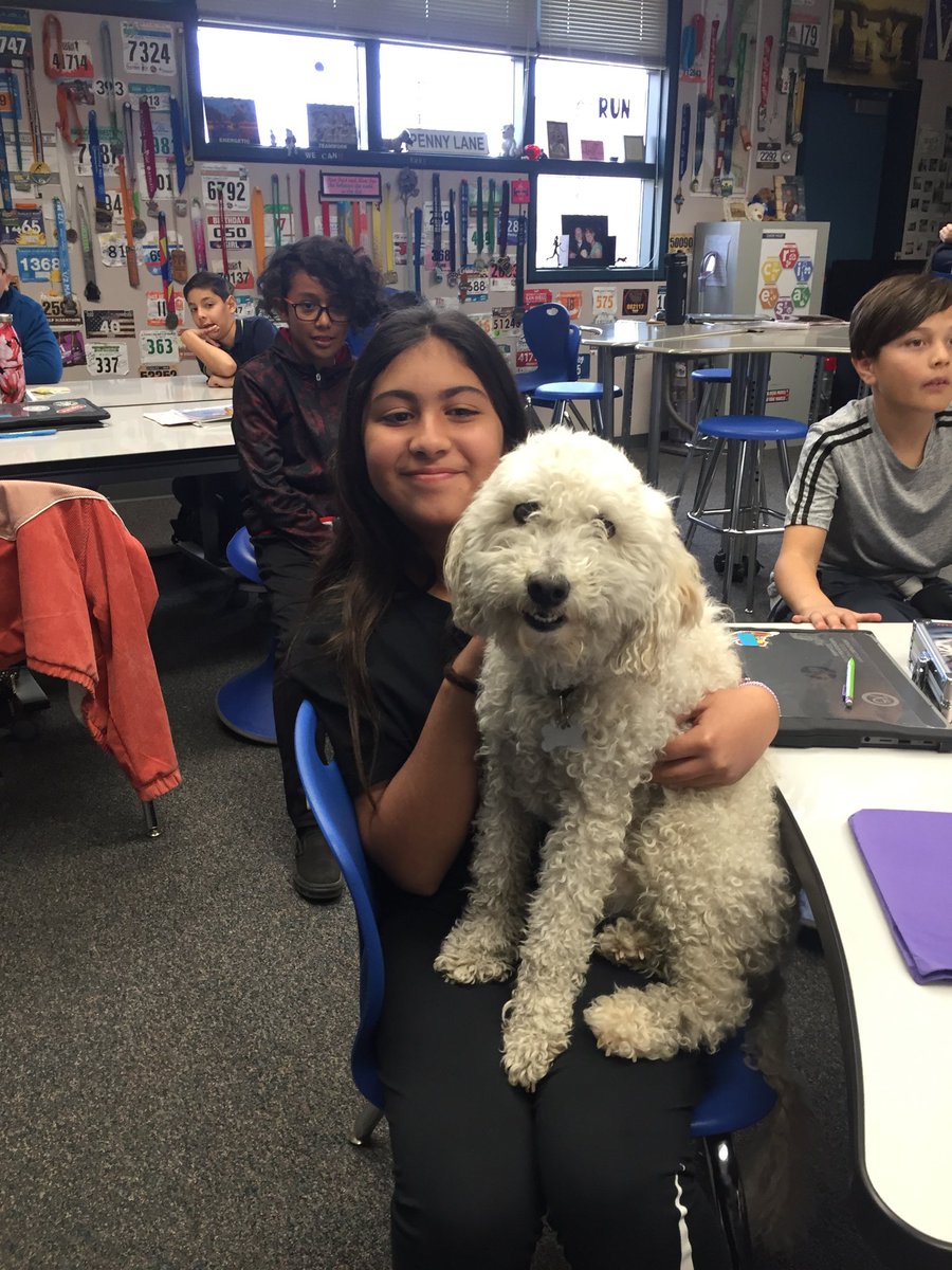 A heartfelt presentation from two amazing 8th graders for my 6th grade students!  Love and learning felt by all!!💕🐾 #CVWOW ⁦<a href="/hillsdalepride/">Hillsdale Middle</a>⁩ ⁦<a href="/CajonValleyUSD/">CajonValleyUSD</a>⁩ ⁦⁦<a href="/edukatn/">Mrs. Knierim</a>⁩