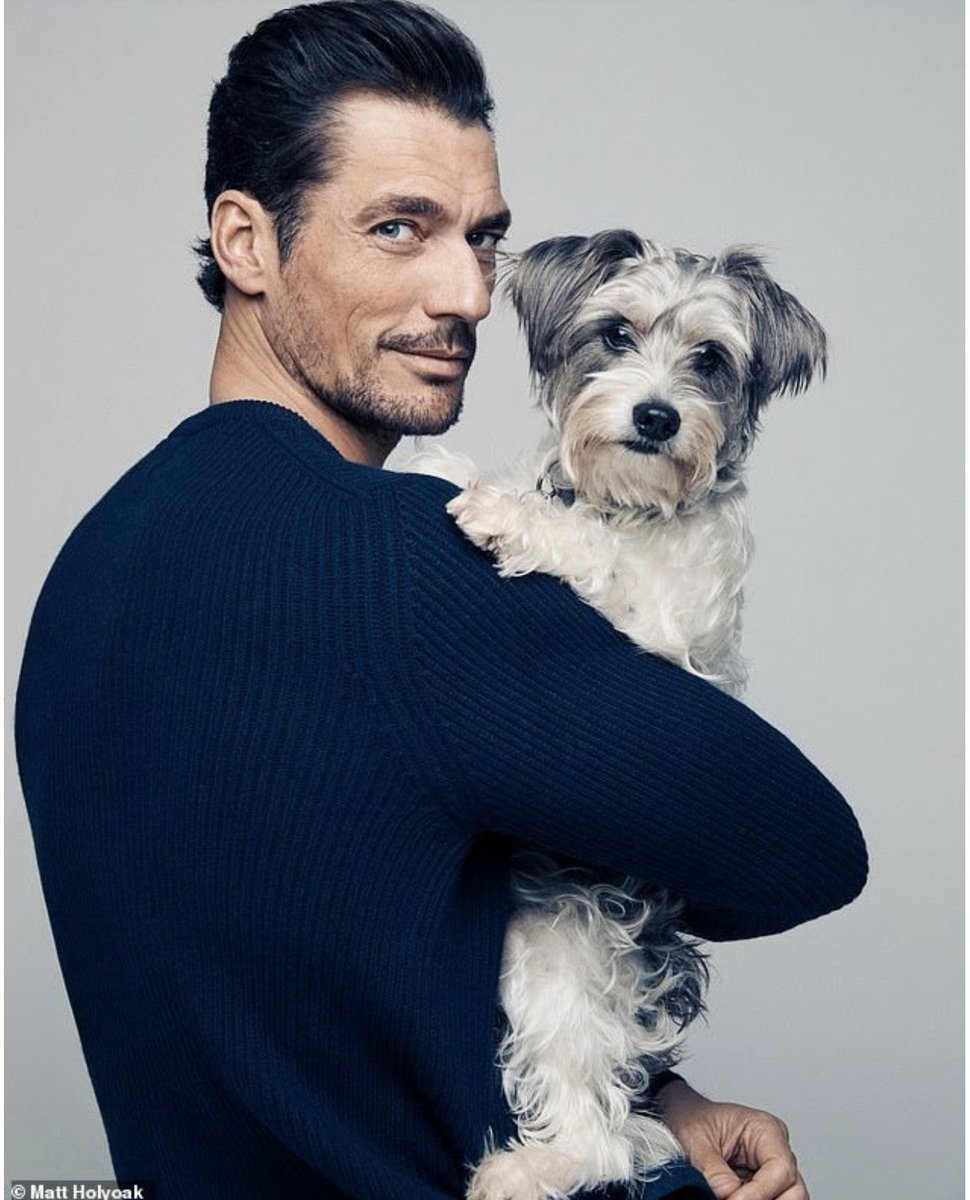 DGFansUS's tweet image. Happy birthday David! 🎂 Enjoy your day 💙💙💙🤍🤍🤍