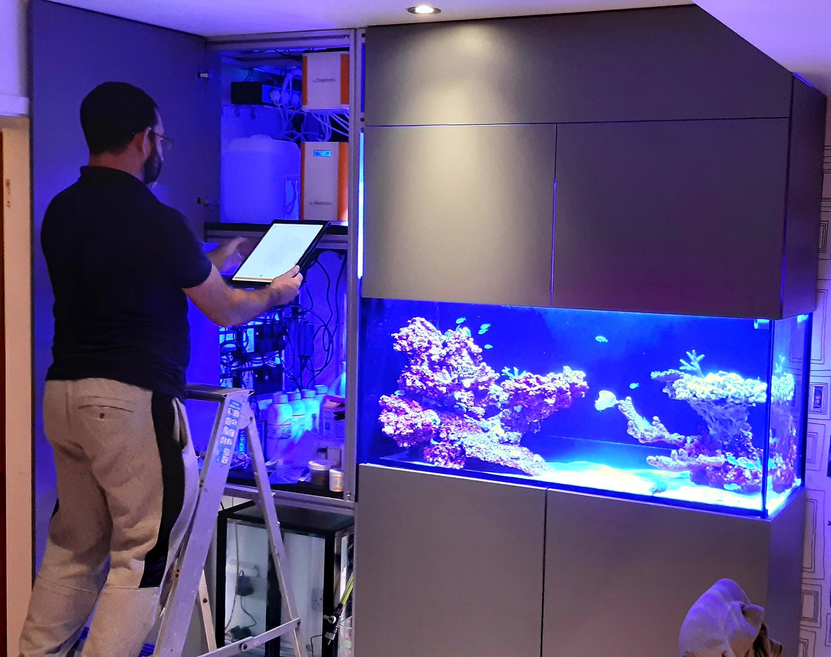 AquariumCurator's tweet photo. Recently I set up an ex situ coral spawning system at home with @aquaconnections to explore the possibilities of coral reproduction in a domestic setting. #CoralSpawningLab https://t.co/GvTrAsX9jl