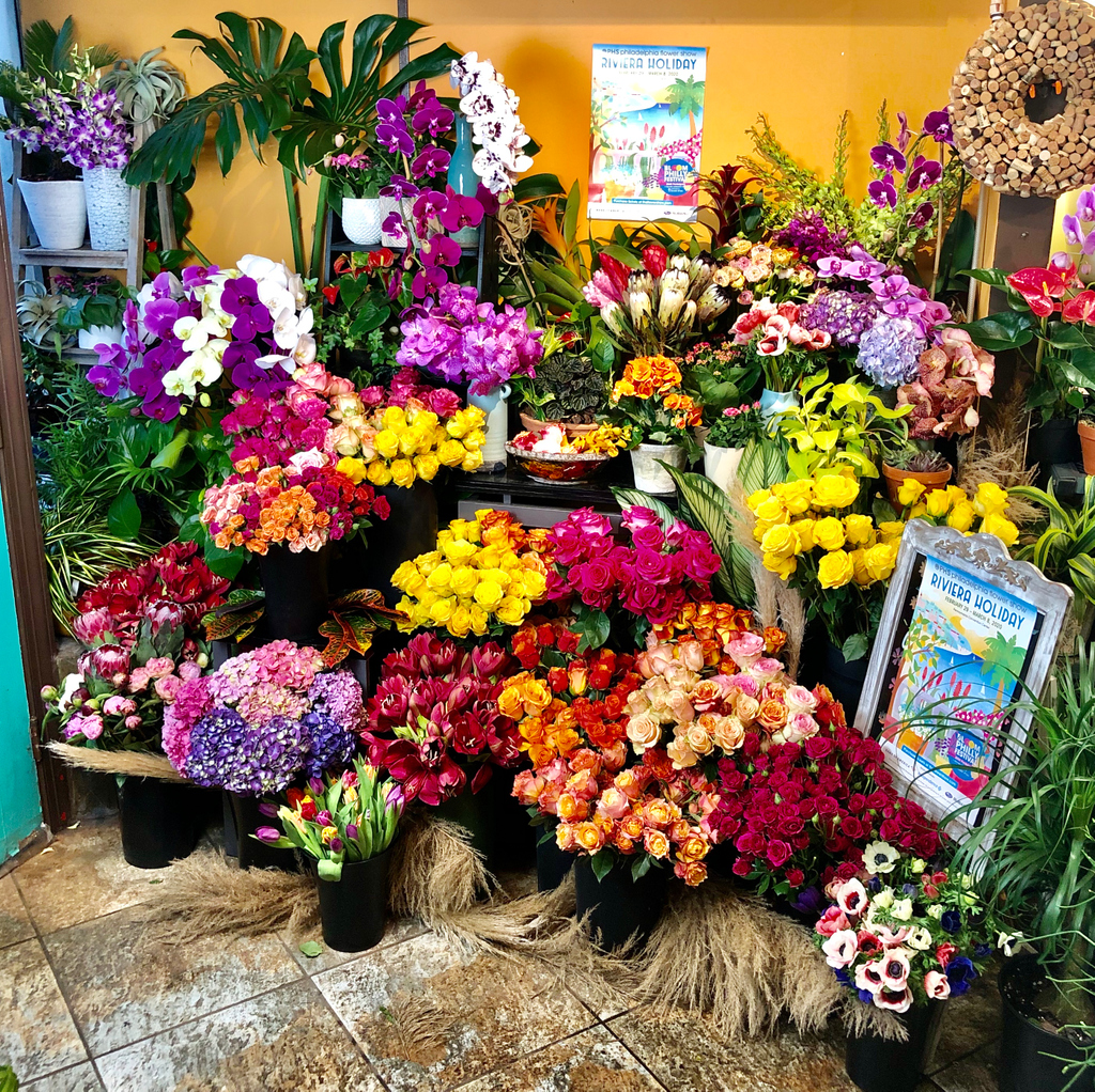long_stems's tweet photo. We are very excited to unveil our #BloomPhilly window display inspired by the 2020 #FlowerShow theme Riviera Holiday! Please pay us a visit and cast your vote for ours as“People’s Choice/Fan Favorite” every day now through Feb 26! https://t.co/8HmklNA4Yj @PhilaFlowerShow https://t.co/DyzDFtbVYc