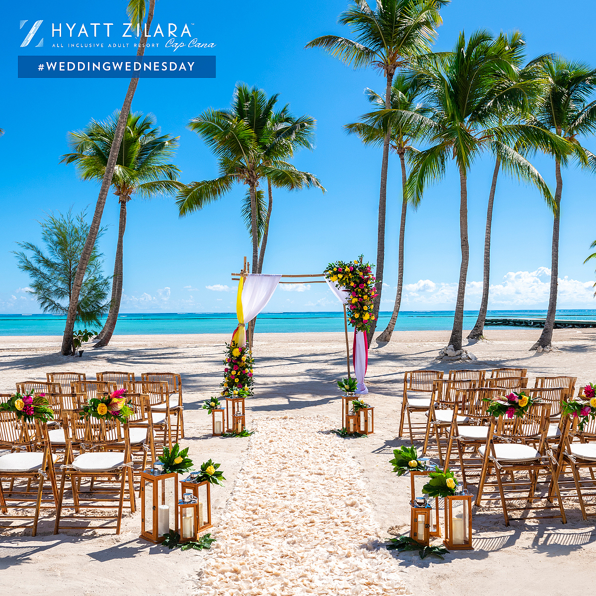 BlueAshTravel's tweet photo. Hyatt Zilara Cap Cana makes even the most unique wedding dreams come true! There's not better place to say "I do" then Cap Cana. #WeddingWednesday https://t.co/kICEO7xGFQ