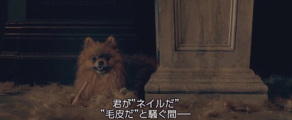 愚鈍 ポメラニアンが出てくる映画四選 タイタニック スーパーマンリターンズ It イット The End それが見えたら 終わり ブレイド3 T Co 63kvycuaod Twitter