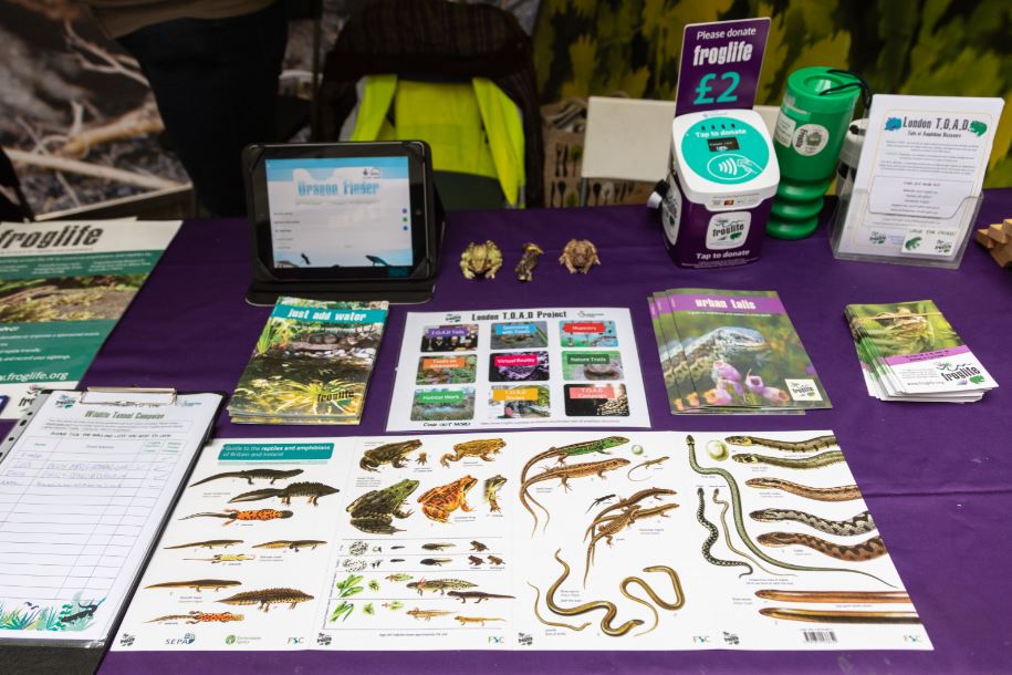 Froglife tweet media