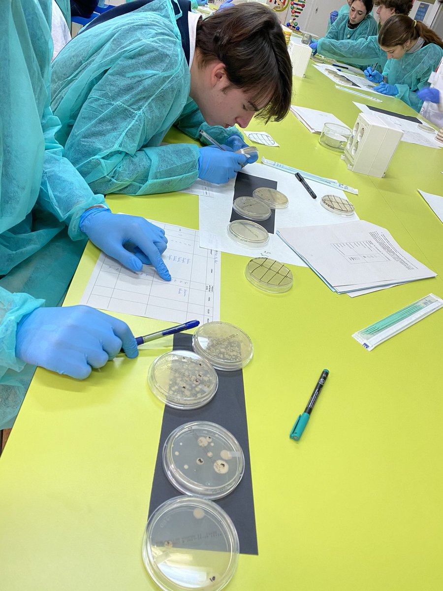 3 Sesión #CEUSanPabloValencia aislando 🔍 que es gerundio🧫🧫🧫🧫🧫🧫 así hasta 25 y si multiplicáis por 10, tenemos 250 colonias de 🦠 en la estufa para ver si alguna produce 💊...seguimos... <a href="/uchceu/">Universidad CEU UCH</a> <a href="/IvanaBrnt/">IBR</a> <a href="/Starkean2/">Miguel</a> <a href="/Candela15809397/">Candela</a> <a href="/CienciaUCHCEU/">Ciencia CEU UCH</a>