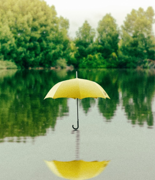 PayRubicon's tweet photo. Everybody's is different and a path that suits one certainly doesn’t fit everyone.
Is switching to umbrella the way to go? Is this your best choice?
Have a read of our latest news article on Umbrella PAYE  https://t.co/ST9sVnVcNQ #umbrellapaye #contracting #ir35 #payroll https://t.co/1UPc8zEA5g