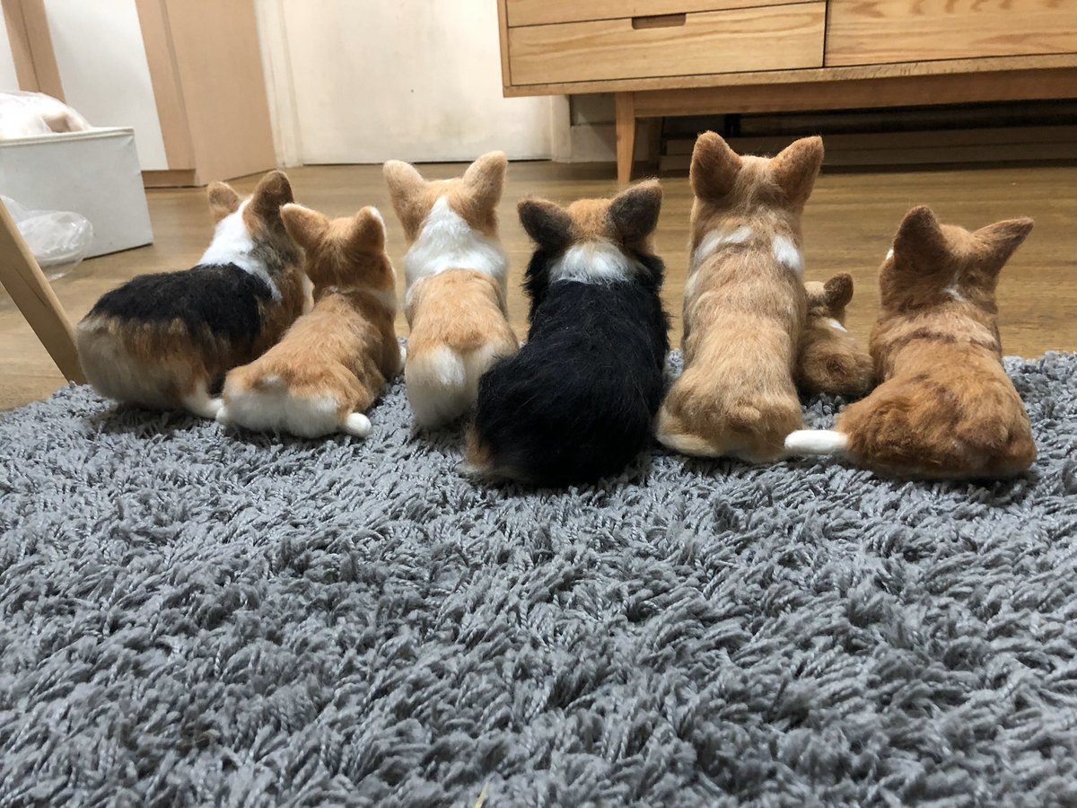 Dreamchaser Woolfelt Student Work 羊毛フェルト 羊毛氈 手芸 Handmade Woolfelt Woolfelting Felting Needlefelt Needlefelting Handcraft 手作 手工 手作人 Pet Petstagram Instapet Puppy Instadog Dogstagram Doglife 狗 犬 Inu