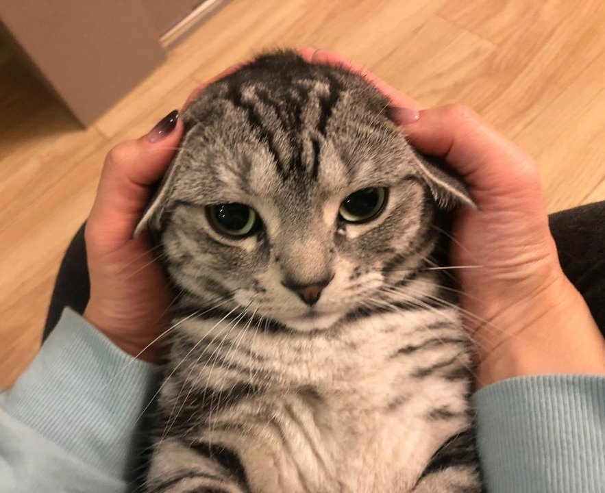 술먹고 취한 언니때문에 불만이 가득하다ㅋㅋㅋㅋㅋㅋㅋㅋㅋㅋ