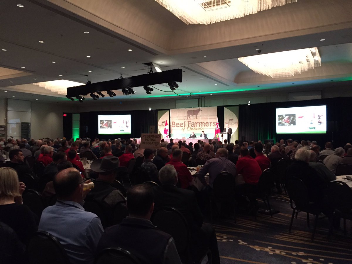 BeefFarmersON's tweet photo. Excited to be kicking off an exciting new morning at this year’s #BFOAGM! Lot’s of new exciting discussion and topics to take place. #ontbeef #ontag #LetsTalkBeek https://t.co/tnZDr3ZM18