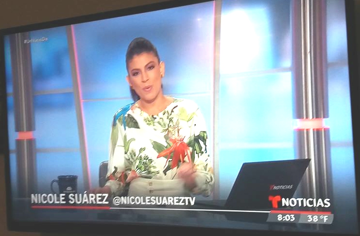 Varon419's tweet photo. @UnNuevoDia #UnNuevoDia #MásCercaDeTi @NicoleSuarezTV @osorioissa Feliz ombliguito semana muchas bendiciones bellas d #lomejor @TelemundoNews y las Ma~anas ❤️😘lindo dia favor d Dios !Hermosas siempre❤️LQM https://t.co/YIYuC73k0t