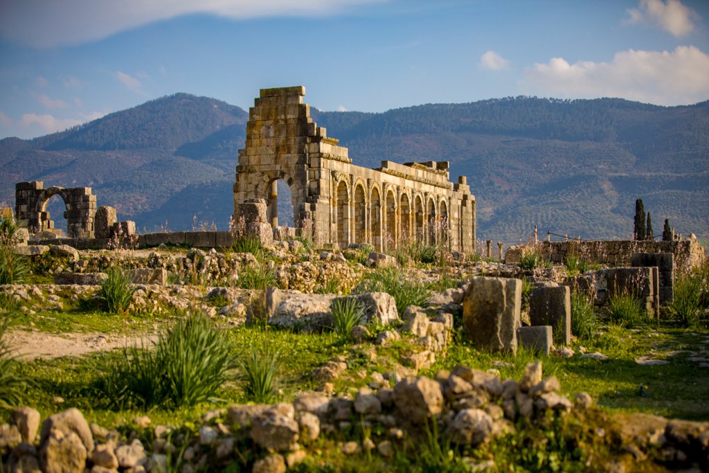 moroccotouring_'s tweet photo. The ancient Roman city Volubilis. Morocco.  #volubilis #roman #ancient #fez #meknes #Morocco #famous #landscape #Magnificent #culture #authenticity #epigraph #evidence #civilization #artistic #History #art #Creative #archeological #style #architect #architecture #Construction https://t.co/bTz8YpfKcJ