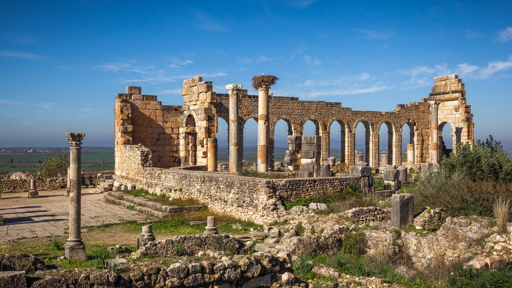 moroccotouring_'s tweet photo. The ancient Roman city Volubilis. Morocco.  #volubilis #roman #ancient #fez #meknes #Morocco #famous #landscape #Magnificent #culture #authenticity #epigraph #evidence #civilization #artistic #History #art #Creative #archeological #style #architect #architecture #Construction https://t.co/bTz8YpfKcJ