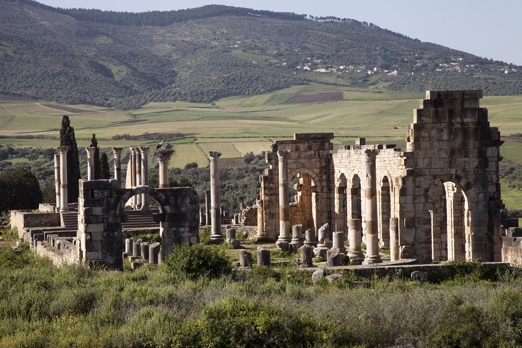 moroccotouring_'s tweet photo. The ancient Roman city Volubilis. Morocco.  #volubilis #roman #ancient #fez #meknes #Morocco #famous #landscape #Magnificent #culture #authenticity #epigraph #evidence #civilization #artistic #History #art #Creative #archeological #style #architect #architecture #Construction https://t.co/bTz8YpfKcJ