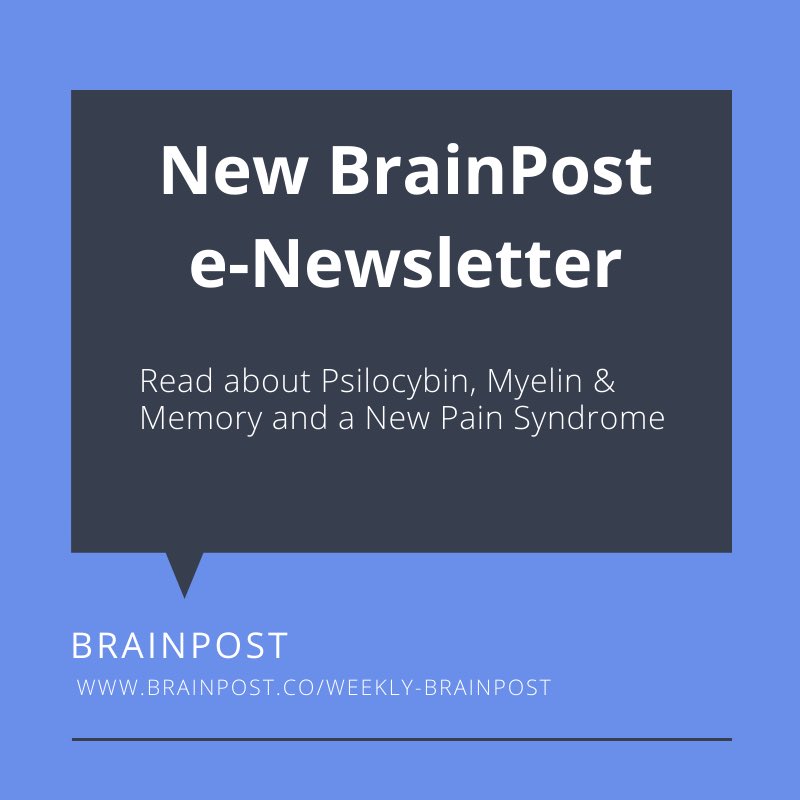 brainpostco's tweet photo. This week's @brainpostco e-newsletter is now available. Read about Psilocybin, Myelin & #Memory and a New #Pain Syndrome
https://t.co/TklBxgXIPI https://t.co/EUYbuijqdg