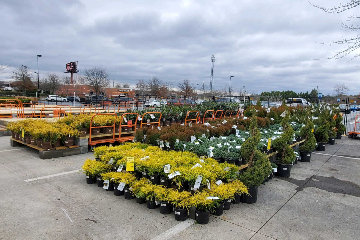 Retail Garden Mngmt tweet media