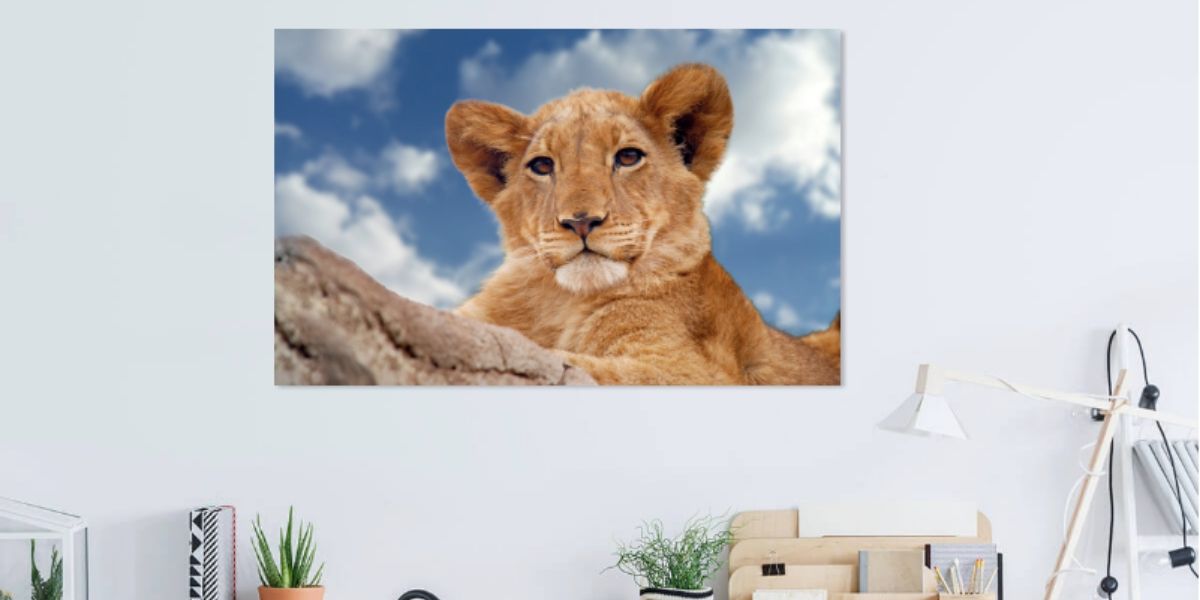 PerfectPics_Ke's tweet photo. Keep that perfect shot with you always. We make incredible canvas prints for your home in a variety of sizes.

#KeepMemoriesAlive #perfectpicskenya https://t.co/w5ajlPMCyN