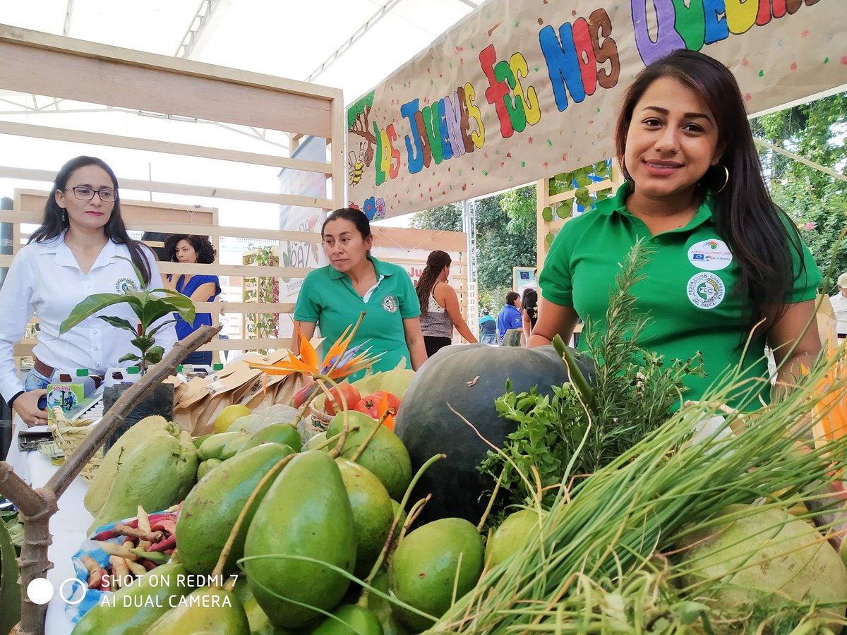 Fed. Campesina Cauca tweet media