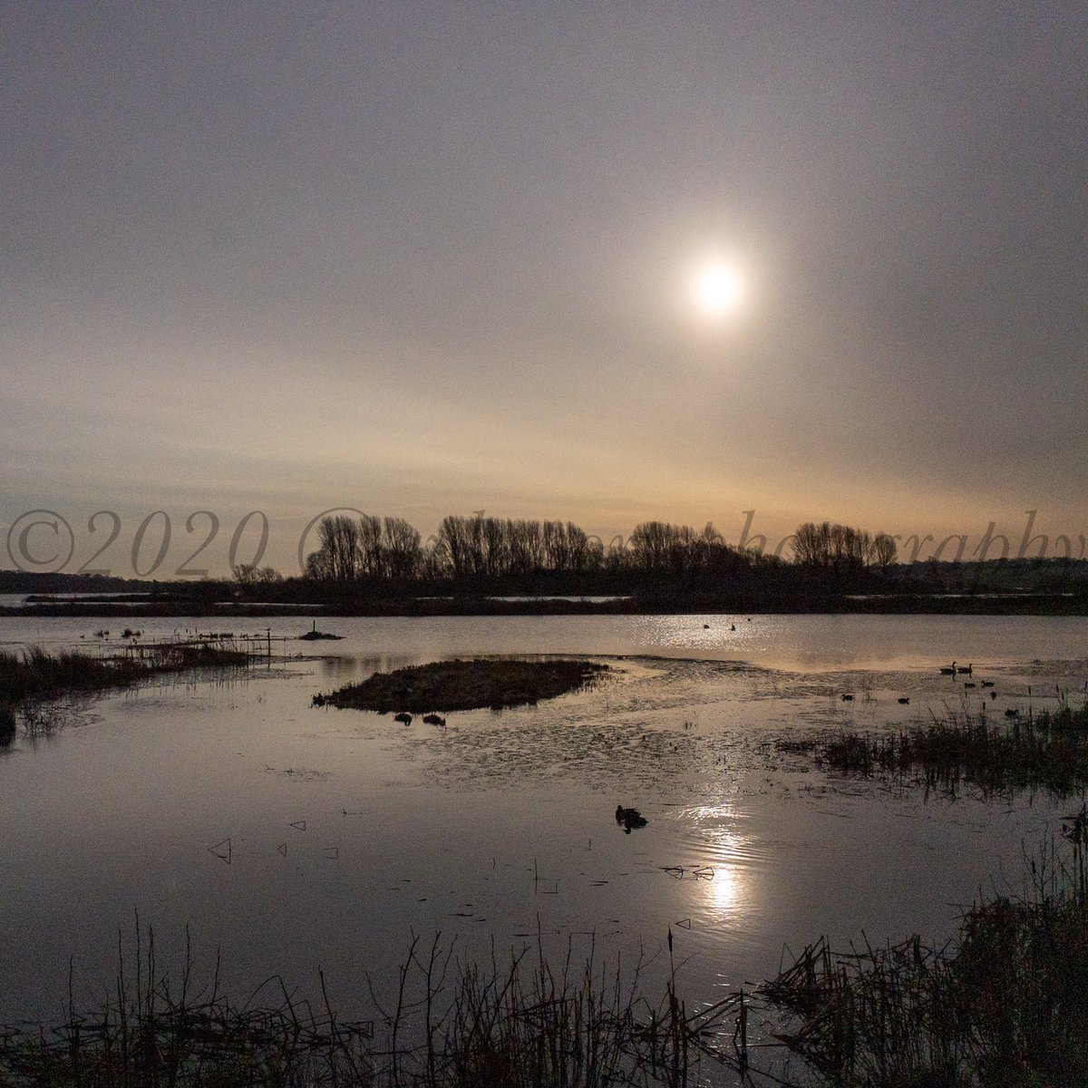 Nature Reserve looking beautiful this morning. #rutlandwater