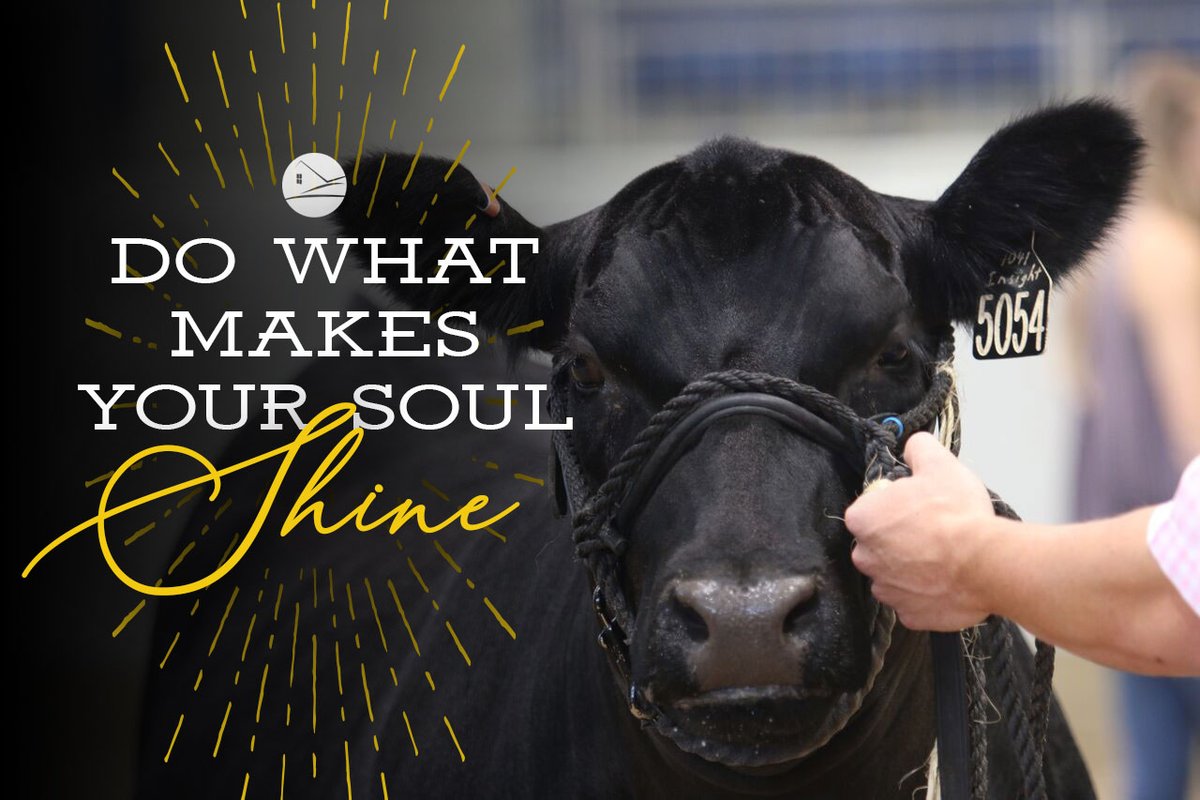 ranchhouseinc's tweet photo. Happy Wednesday!
#ranchhousedesigns
#motivation
#livestock https://t.co/yQyAQFbT2y