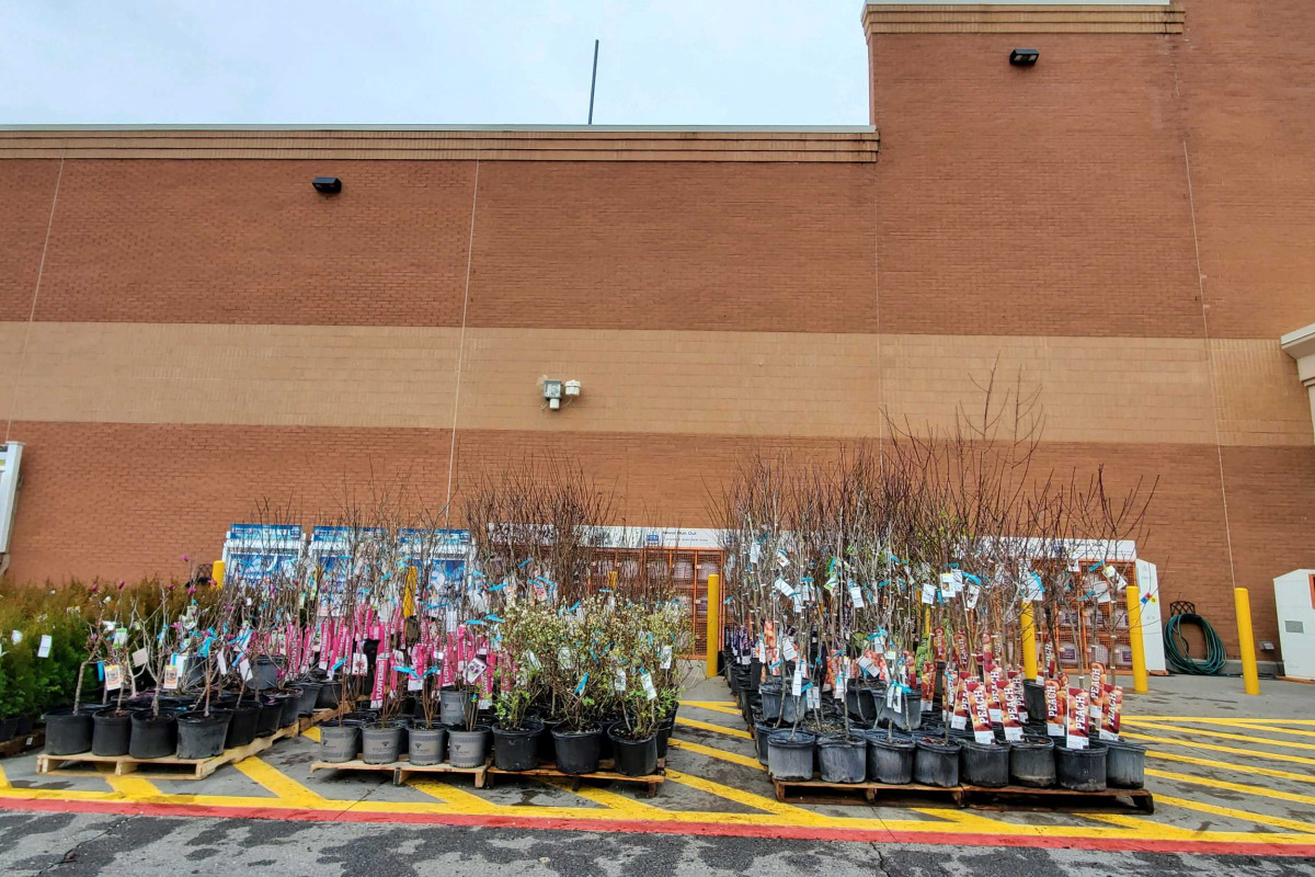 Retail Garden Mngmt tweet media