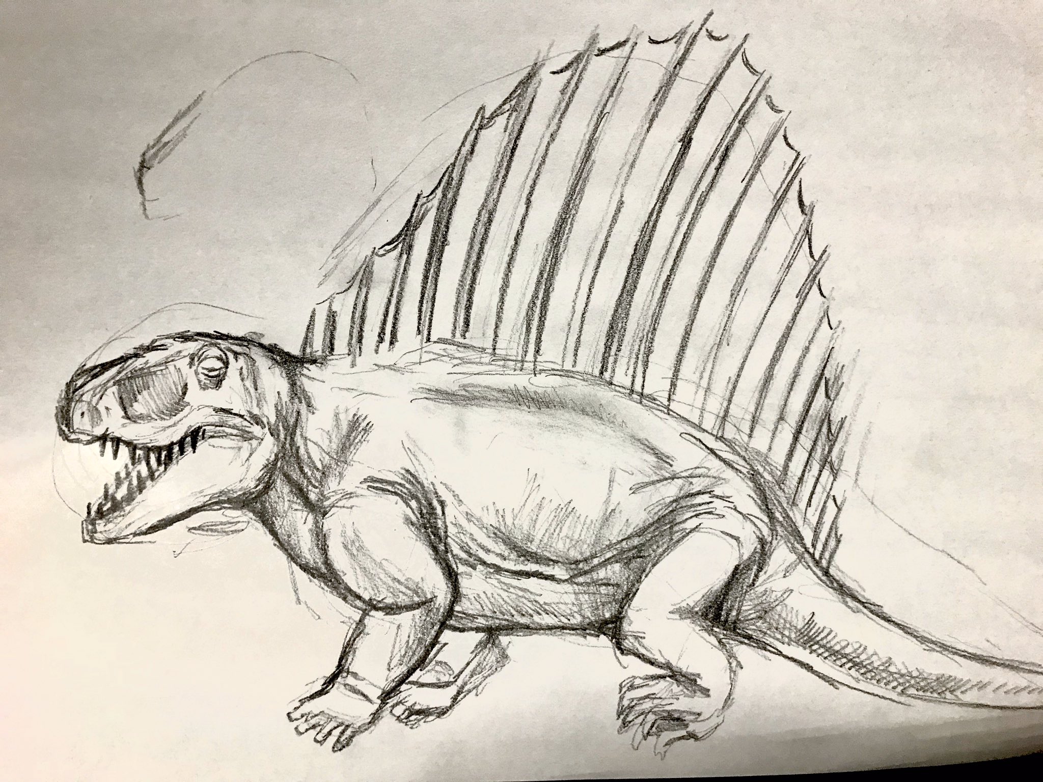カプセルq太郎 ディメトロドン 古生物 恐竜 単弓類 爬虫類 イラスト 恐竜イラスト 恐竜画 恐竜絵 鉛筆 T Co 712bvgdpsa Twitter