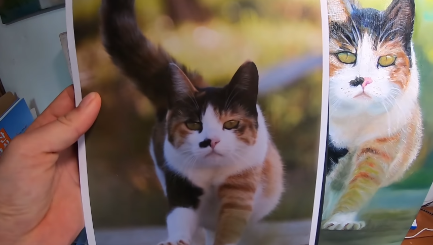 109banana's tweet image. 1. haha ha님 어머니가 그리신 삼색
2. haha ha님이 그린 삼색
3. 원본 삼색 사진
4. 삼색