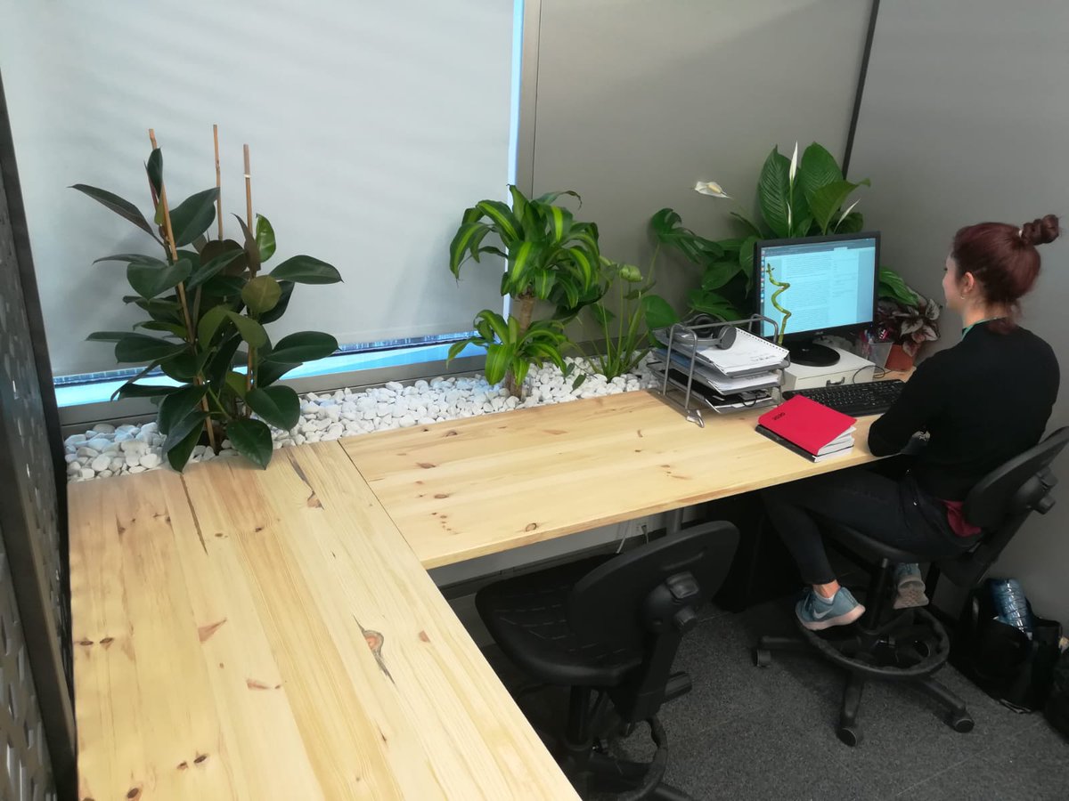 In DARWIN we do many other things apart from great science! 😉
Workplace design can have significant effects on productivity, and this week we have re-designed our lab office space! 🌱💻