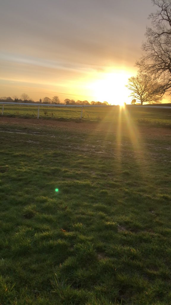 RacingHOTSR's tweet photo. Nice to see the sun make an appearance first thing this morning over the gallops as @gl_racing’s string get to work! ☀️ #sunshine #glmooreracing #hurryupspring https://t.co/Ljga0VkNse