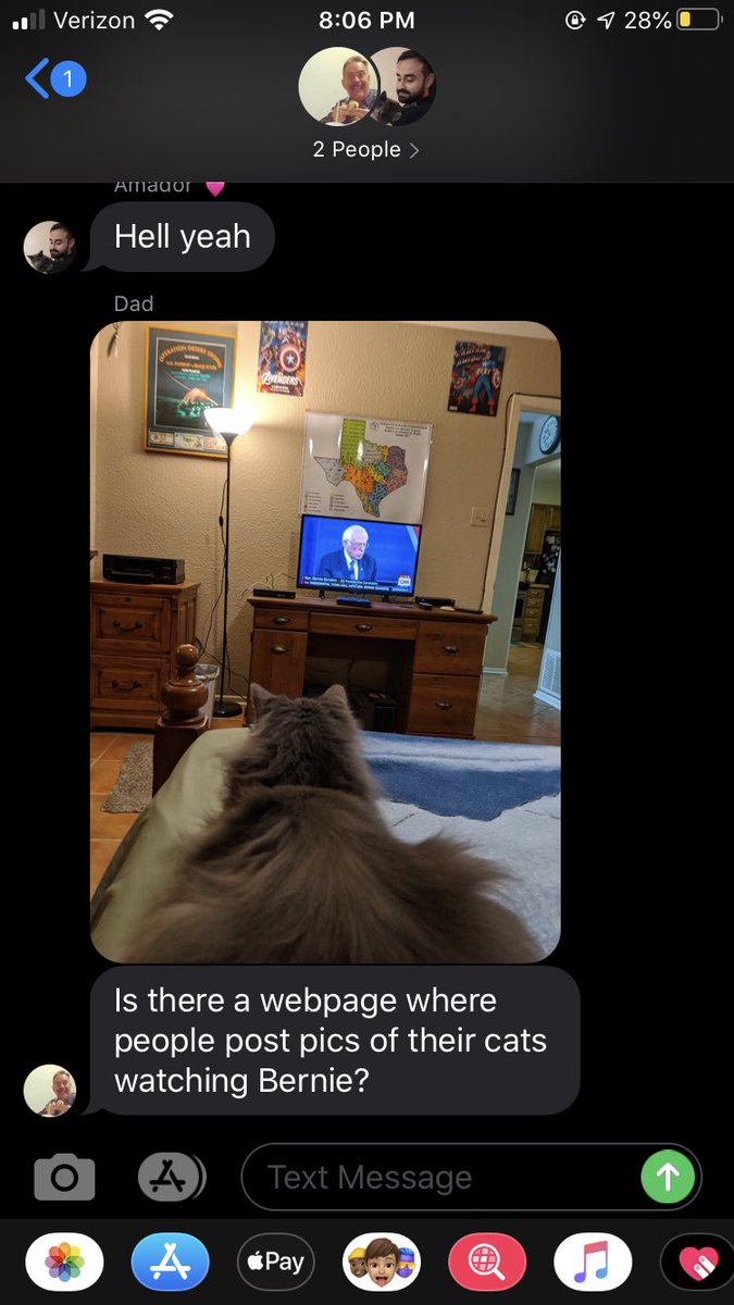 sleepygeene's tweet photo. #notmeowUs https://t.co/6H5IgUN9RH