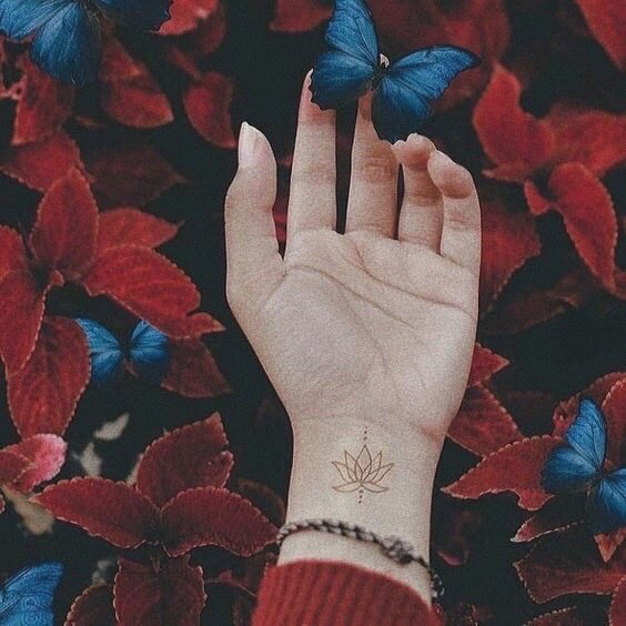 gyulbb's tweet photo. 🥀𝑱𝒖𝒔𝒕 𝒘𝒉𝒆𝒏 𝒕𝒉𝒆 𝒄𝒂𝒕𝒆𝒓𝒑𝒊𝒍𝒍𝒂𝒓 𝒕𝒉𝒐𝒖𝒈𝒉𝒕 𝒉𝒊𝒔 𝒍𝒊𝒇𝒆 𝒘𝒂𝒔 𝒐𝒗𝒆𝒓, 𝒉𝒆 𝒃𝒆𝒈𝒂𝒏 𝒕𝒐 𝒇𝒍𝒚🦋
#OneItsSelcaDay #OISD #imstilloneit https://t.co/bMlkfG6B6j