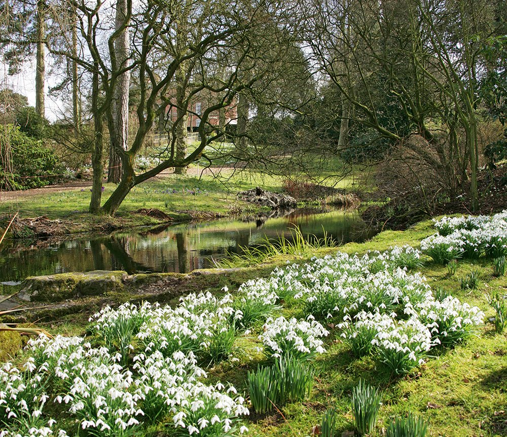 We’ve rounded up our top snowdrop events to attend in 2020.      theenglishgarden.co.uk/gardens/snowdr…

#snowdrops #gardens