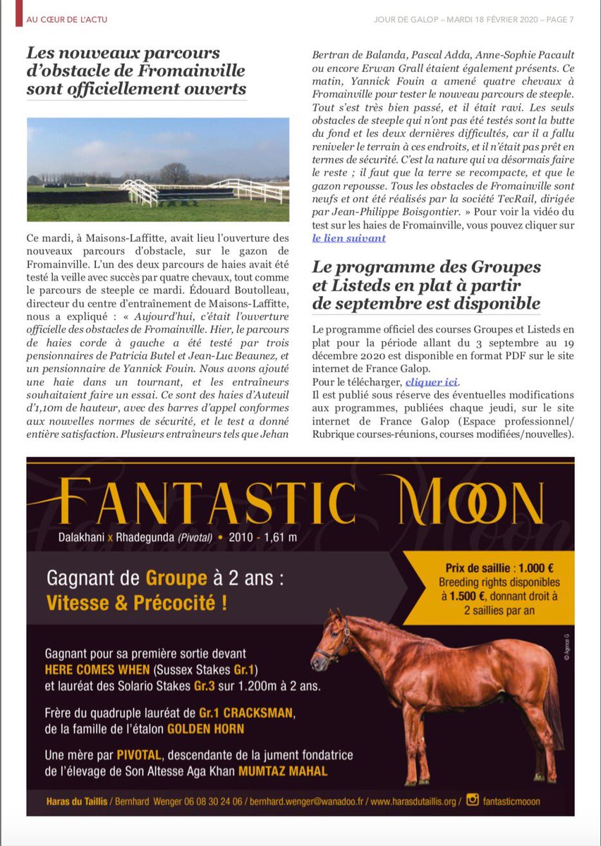 FantasticMooon's tweet photo. Thanks Jour De Galop for your support 
We encourage breeders to be behind us to use him and we think this horse is an extremely exciting addition to the market and what we think is that its price is very reasonable. #horsestallion #cracksman #breeding #stallion #fantasticmooon https://t.co/AiCTiNExGl