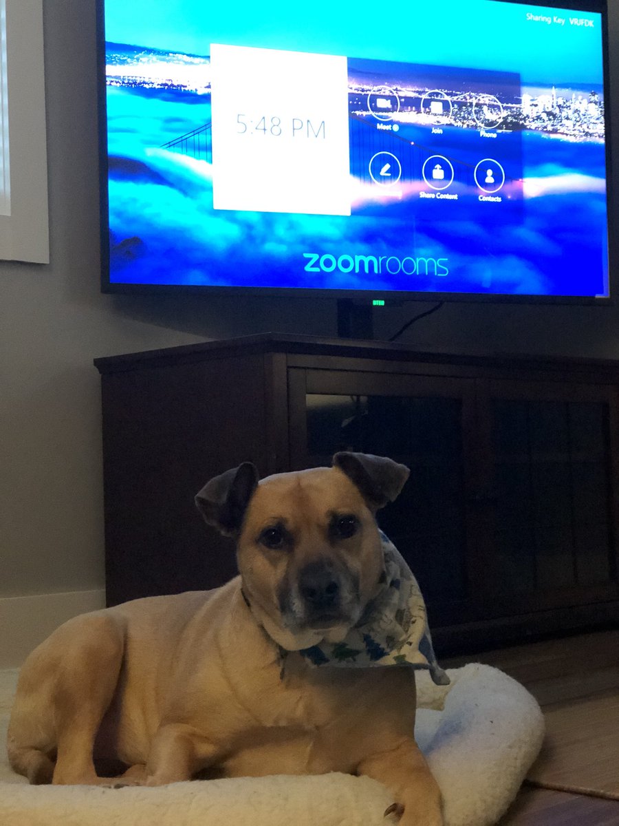 Day 2 of 7 of my life in pictures/video 📸. No words, no people. Nominate someone new everyday. I was nominated by @starin_mkg. Today I nominate @haircutfw. 👋🏻