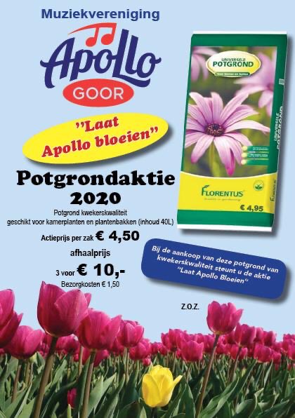 Apollo Goor tweet media