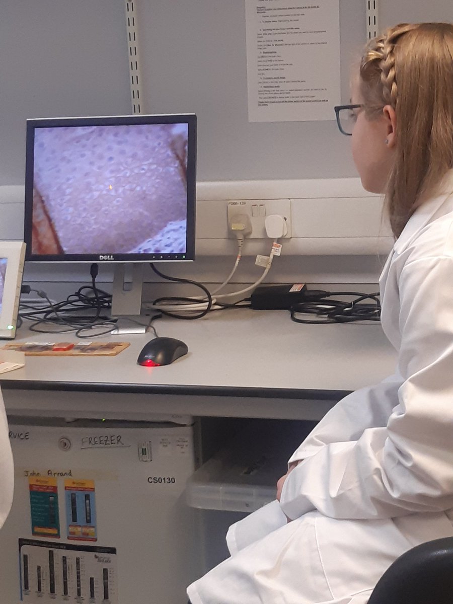 UHBEducation's tweet image. Amazing day, with amazing colleagues showing Carla around Labs, learning about stem cells #workexperience #inspiringcuriosities  #stemcellresearch A big thank you to all that made this possible @QEHBCharity @PodWorcester @uhbtrust