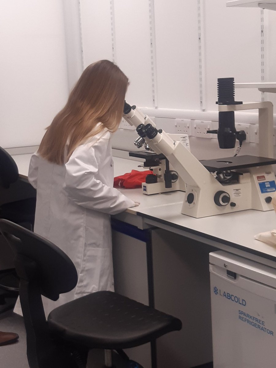 UHBEducation's tweet image. Amazing day, with amazing colleagues showing Carla around Labs, learning about stem cells #workexperience #inspiringcuriosities  #stemcellresearch A big thank you to all that made this possible @QEHBCharity @PodWorcester @uhbtrust