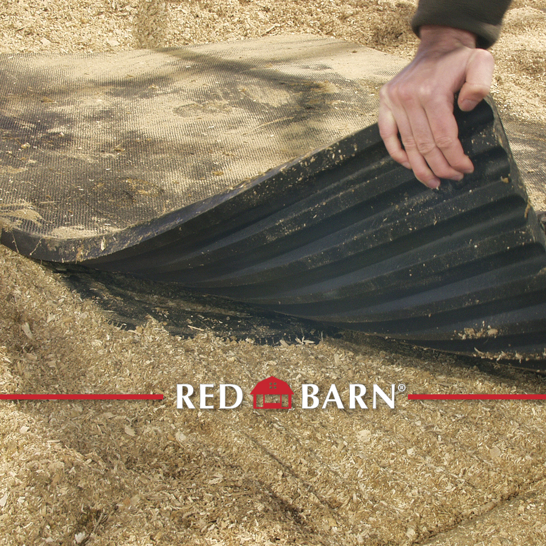 RedBarnMats's tweet photo. The Big Momma stall mat is manufactured with your cows comfort, and long term durability in mind. The Big Momma is designed specifically for tie stall barns, where you can “Set it and Forget it”.
#redbarn #nwrfarm #northwestrubber #bigmomma #rubber #stallmat #farmer #dairy #cows https://t.co/d3QkN0ZHa6