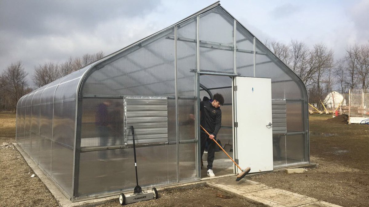 grf_ffa's tweet image. Getting the inside of the greenhouse cleaned.