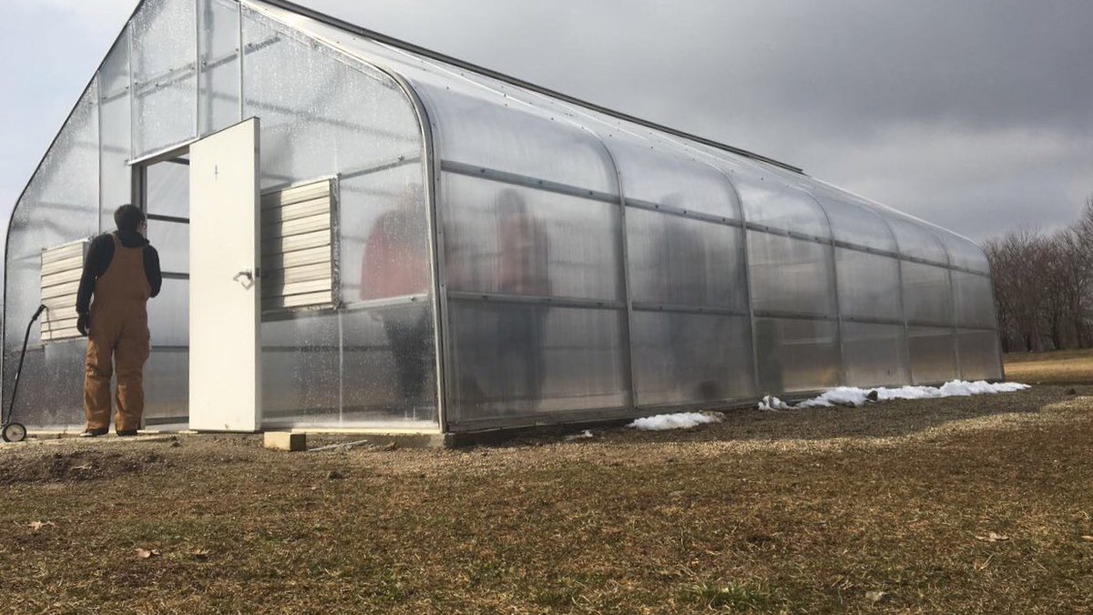 grf_ffa's tweet image. Getting the inside of the greenhouse cleaned.