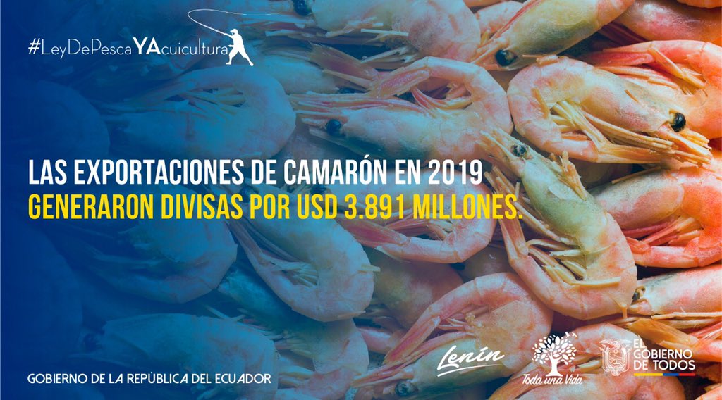 ¡Producimos y exportamos el mejor camarón del mundo! Con la nueva normativa impulsaremos el crecimiento de su producción.
#LeyDePescaYAcuicultura